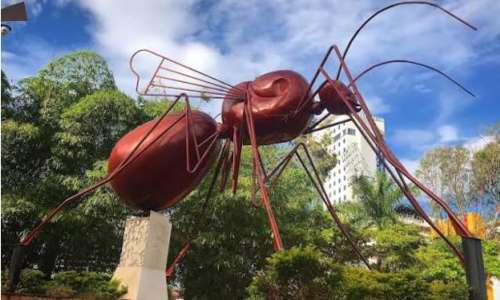 viaje bucaramanga para estudiantes universitarios